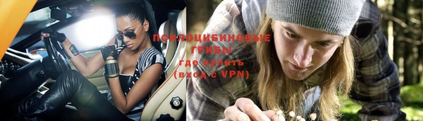 прущая мука Богородицк