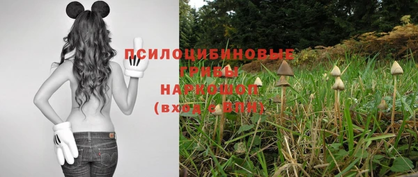 гашиш Богородск